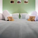 Les Hortillonnages_b&b Inn_centre Ville_terrasse_wifi_netflix * Αμιάν